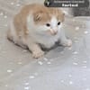 Onur Kaya avatar
