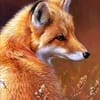 Elif Kurt avatar